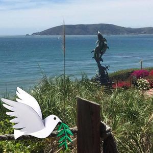 Meet your Posher, Carolyn